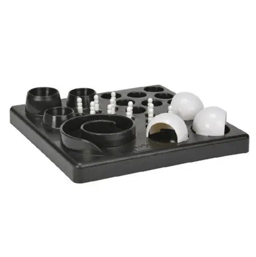 IQ legetøj Genius 25x25x6,5 cm - Maxi Zoo Danmark