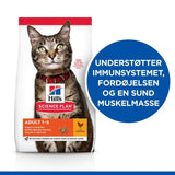 Adult - Maxi Zoo Danmark