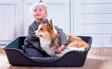 Hundekurv klapbart small grå - Maxi Zoo Danmark