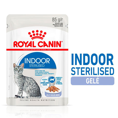 Adult Indoor Jelly menu boks