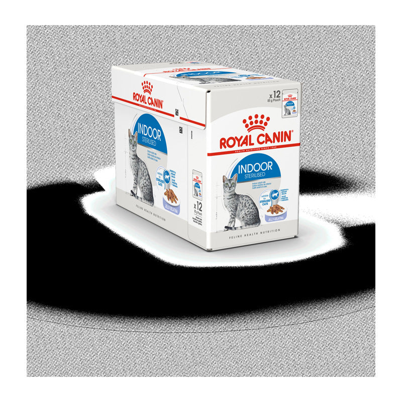Adult Indoor Jelly menu boks