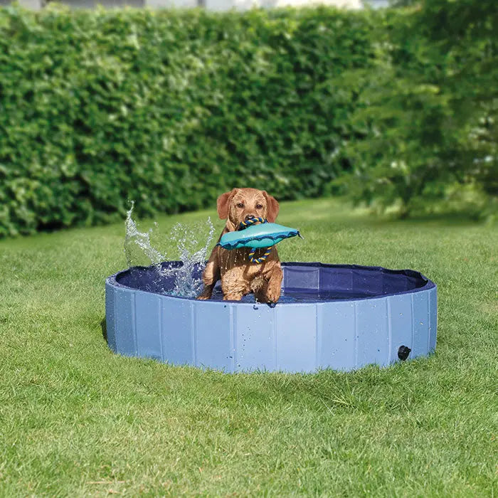 Badebassin Uni 120x30 cm - Maxi Zoo Danmark