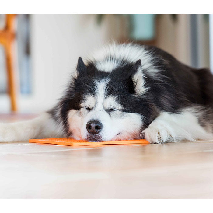 LickiMat OrginalL 28 cm orange - Maxi Zoo Danmark