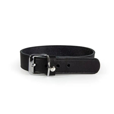 Læder halsbånd Weinheim 47-53 cm sort bred - Maxi Zoo Danmark