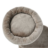 Kradsetræ senior Beatrix73x45x63 cm - Maxi Zoo Danmark