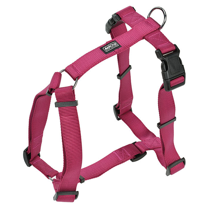 Nylon H-sele Classic XL 81-120 cm bær