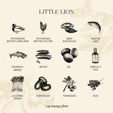 Kitten The Little Lion kylling, and, laks, ørred 1,5 kg