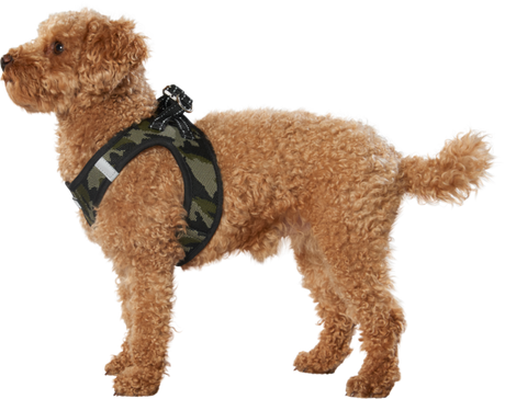 Strikvest 4XS camouflage