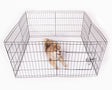 Hvalpegårdø112x61 cm - Maxi Zoo Danmark