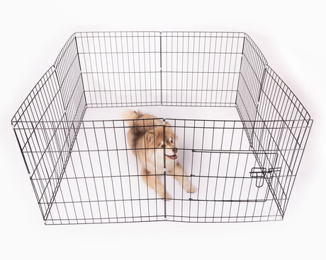 Hvalpegårdø112x61 cm - Maxi Zoo Danmark