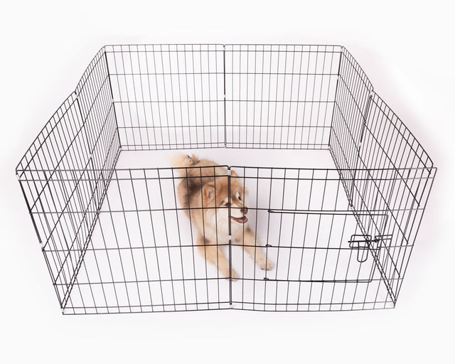 Hvalpegårdø112x61 cm - Maxi Zoo Danmark