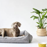 Hundeseng Eiby Grå - Maxi Zoo Danmark
