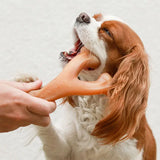 Wishbone bacon small - Maxi Zoo Danmark