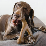 Wishbone bacon giant - Maxi Zoo Danmark
