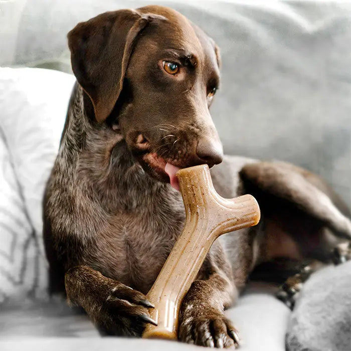 Maplestick large - Maxi Zoo Danmark