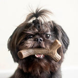 Puppy Maplestick/Zaggler sæt bacon - Maxi Zoo Danmark