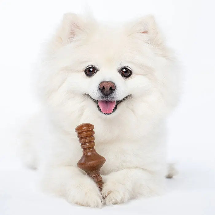 Puppy Maplestick/Zaggler sæt bacon - Maxi Zoo Danmark