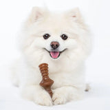 Puppy Maplestick/Zaggler sæt bacon - Maxi Zoo Danmark