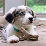 Puppy Wishbone bacon small - Maxi Zoo Danmark