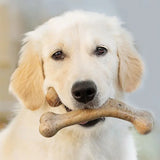 Puppy Wishbone bacon medium - Maxi Zoo Danmark