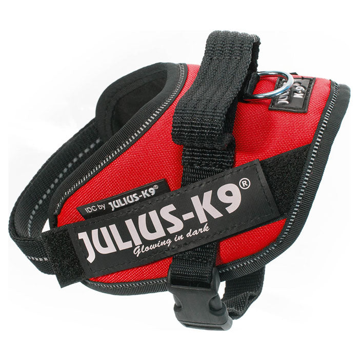 Julius K9 Power-SeleIDC mini/M rød