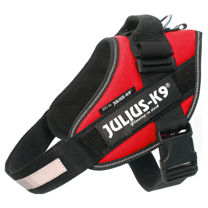 Julius K9 Power-SeleIDC str 0 60-75 cm rød