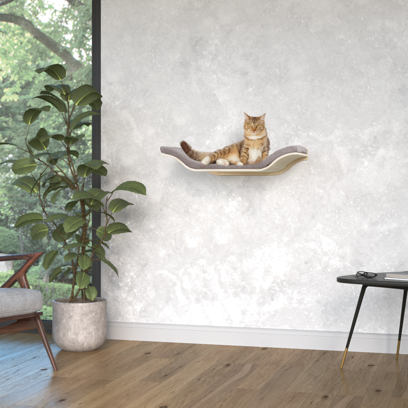 Kradsebræt Wall Leto 50x40 cm - Maxi Zoo Danmark
