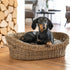 Hundeseng Basket S 60x40x19 cm