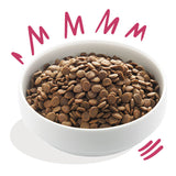 Venison & Free-run Adult And med æble og grønt 2,5 kg