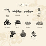 Adult The Panther, sterilised