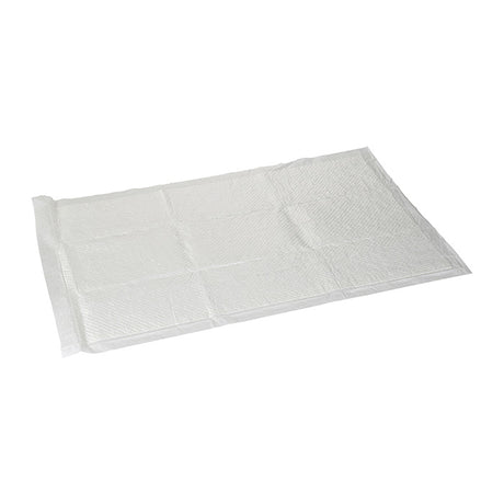 Tisseunderlag 60 x 90 cm 10 stk - Maxi Zoo Danmark