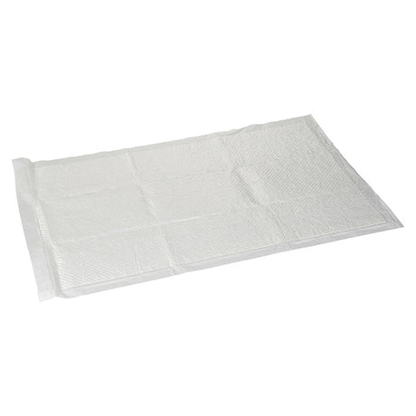 Tisseunderlag 60 x 90 cm 50 stk - Maxi Zoo Danmark