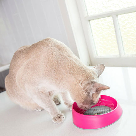 LickiMat OH skål Kat Pink - Maxi Zoo Danmark