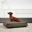 Dog bed Brun - Maxi Zoo Danmark