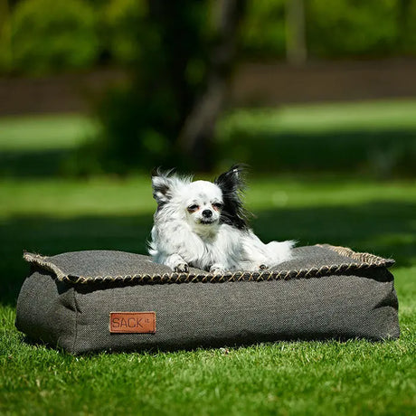 Dog bed Sort - Maxi Zoo Danmark