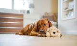 Hundelegetøj Heartbeat hund S-M - Maxi Zoo Danmark