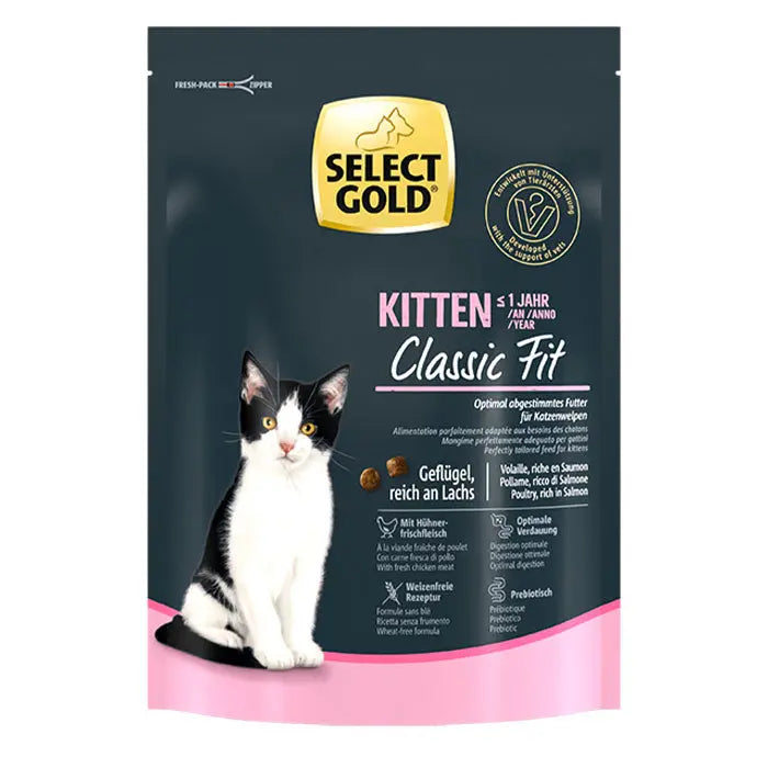 Kitten - Maxi Zoo Danmark