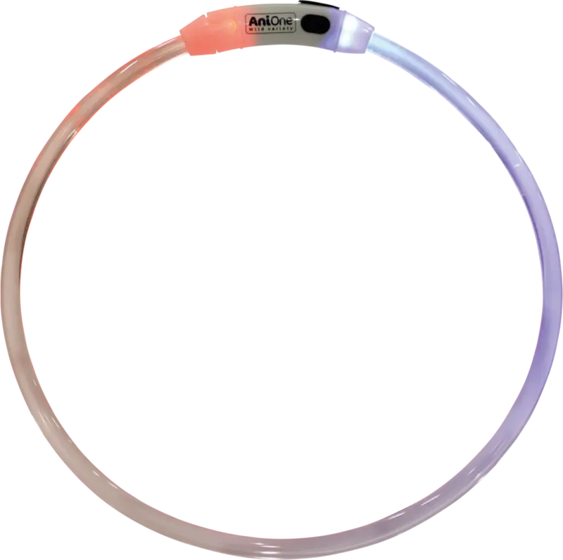 Lyshalsbånd Illuminated 35 cm multifarvet - Maxi Zoo Danmark