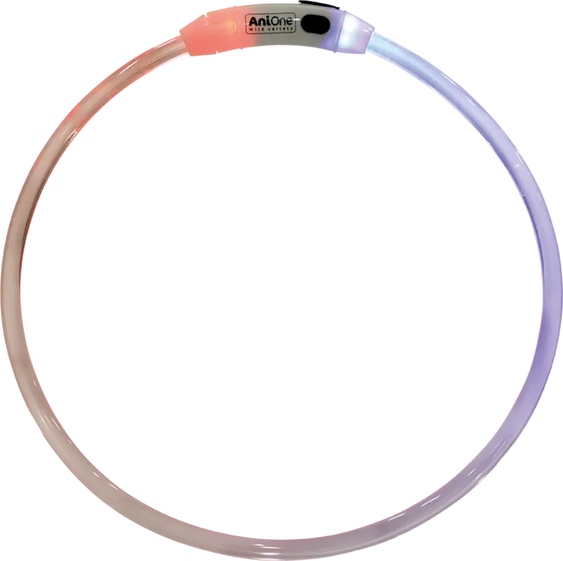 Lyshalsbånd Illuminated 35 cm multifarvet - Maxi Zoo Danmark