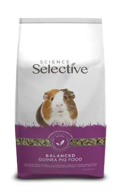 Marsvin adult 3 kg - Maxi Zoo Danmark