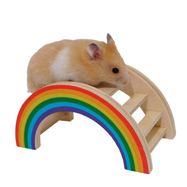 Rainbow bro - Maxi Zoo Danmark