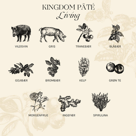 Adult Paté Kingdom Living vildsvin 400 g