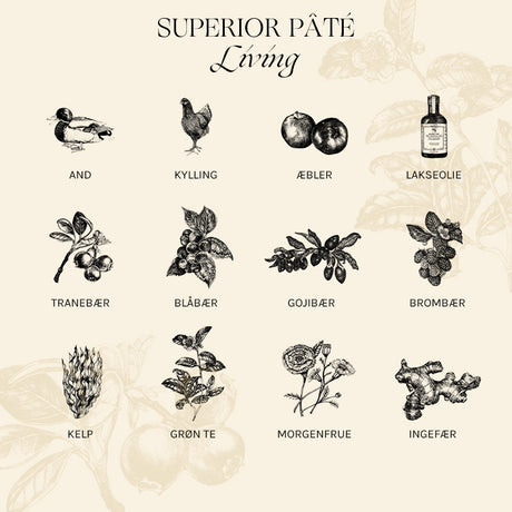 Adult Paté Superior Living kylling & and 400 g