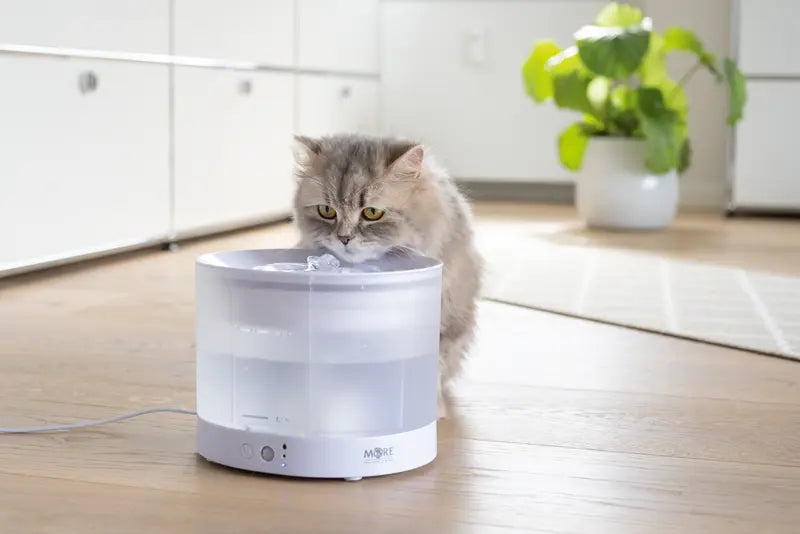 Drikkefontæne Cloud ca. 2,3 l - Maxi Zoo Danmark