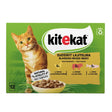 Adult menuboks i sovs, Mixed kylling,okse,laks 12x85 g - Maxi Zoo Danmark