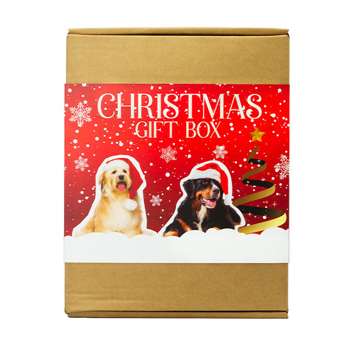Julebox 3 dele - Maxi Zoo Danmark