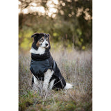 FIR-Tech hundedækken Dog Rug 2.0