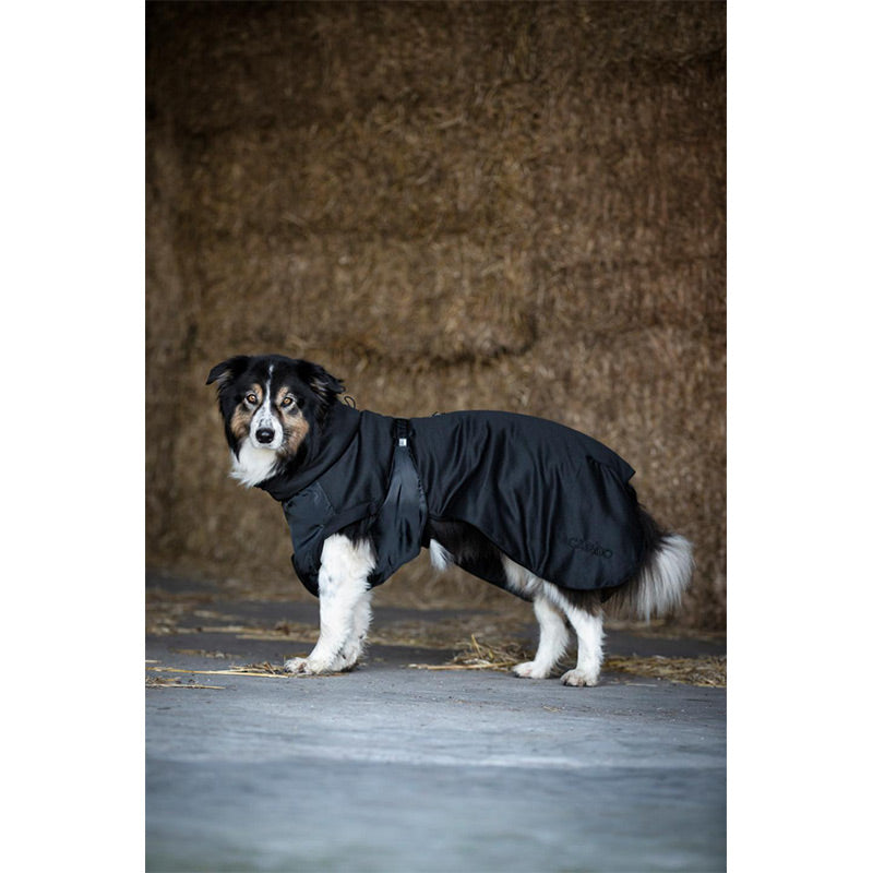 FIR-Tech hundedækken Dog Rug 2.0