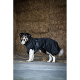 FIR-Tech hundedækken Dog Rug 2.0