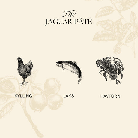 Adult The Jaguar Pâté, kylling, lever & laks 12x85 g